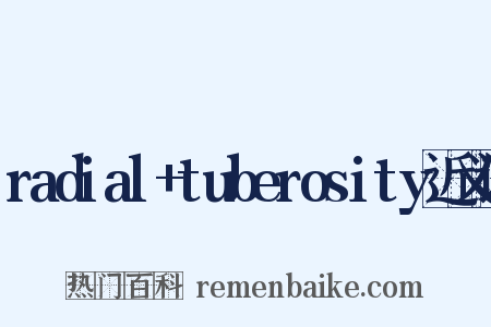 radial+tuberosity近义词是什么意思的图片